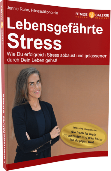 eBook Cover - Ratgeber Stress